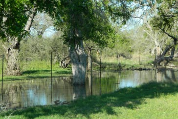 South Texas Golden Triangle Hunting